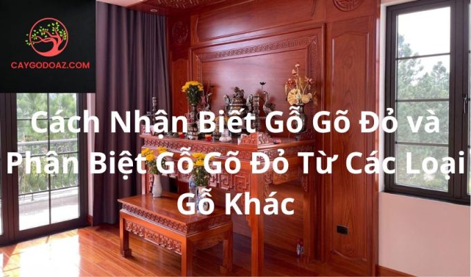 Cách Nhận Biết Gỗ Gõ Đỏ và Phân Biệt Gỗ Gõ Đỏ Từ Các Loại Gỗ Khác