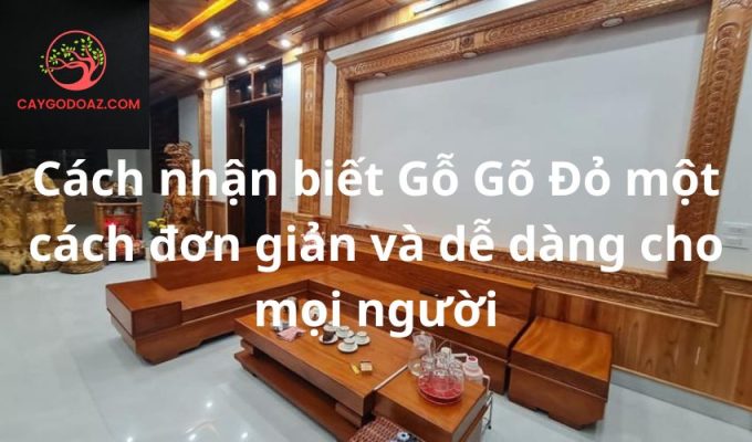 Cách nhận biết Gỗ Gõ Đỏ một cách đơn giản và dễ dàng cho mọi người