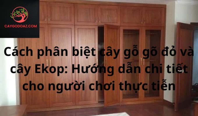 Cách phân biệt cây gỗ gõ đỏ và cây Ekop: Hướng dẫn chi tiết cho người chơi thực tiễn