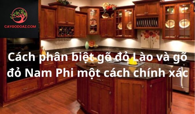 Cách phân biệt gõ đỏ Lào và gõ đỏ Nam Phi một cách chính xác