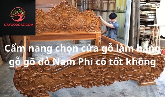 Cẩm nang chọn cửa gỗ làm bằng gỗ gõ đỏ Nam Phi có tốt không