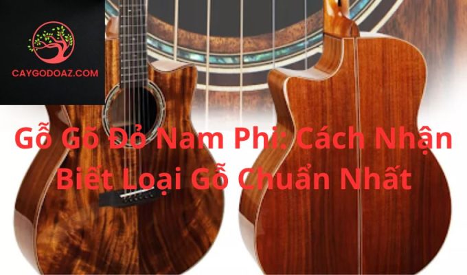 Gỗ Gõ Đỏ Nam Phi: Cách Nhận Biết Loại Gỗ Chuẩn Nhất