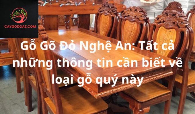 Gỗ Gõ Đỏ Nghệ An: Tất cả những thông tin cần biết về loại gỗ quý này