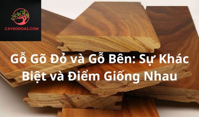 Gỗ Gõ Đỏ và Gỗ Bên: Sự Khác Biệt và Điểm Giống Nhau