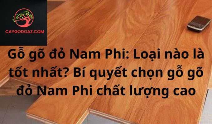 Gỗ gõ đỏ Nam Phi: Loại nào là tốt nhất? Bí quyết chọn gỗ gõ đỏ Nam Phi chất lượng cao