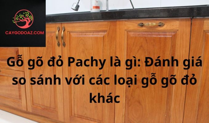 Gỗ gõ đỏ Pachy là gì: Đánh giá so sánh với các loại gỗ gõ đỏ khác