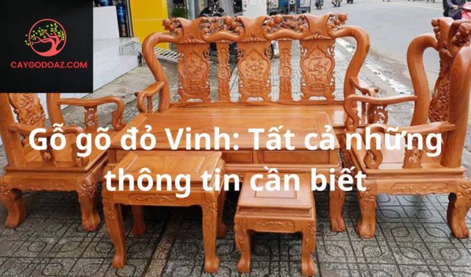 Gỗ gõ đỏ Vinh: Tất cả những thông tin cần biết