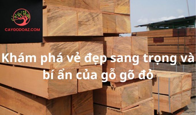 Khám phá vẻ đẹp sang trọng và bí ẩn của gỗ gõ đỏ