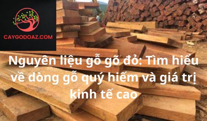 Nguyên liệu gỗ gõ đỏ: Tìm hiểu về dòng gỗ quý hiếm và giá trị kinh tế cao