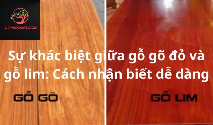 Sự khác biệt giữa gỗ gõ đỏ và gỗ lim: Cách nhận biết dễ dàng