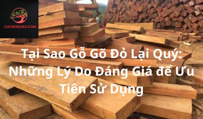 Tại Sao Gỗ Gõ Đỏ Lại Quý: Những Lý Do Đáng Giá để Ưu Tiên Sử Dụng