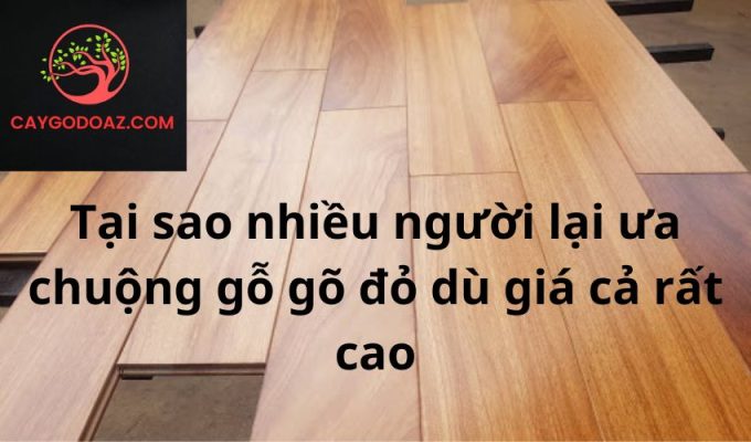 Tại sao nhiều người lại ưa chuộng gỗ gõ đỏ dù giá cả rất cao