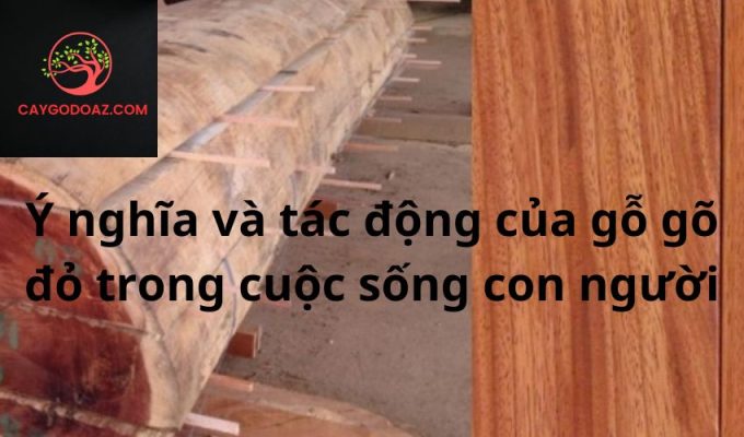 Ý nghĩa và tác động của gỗ gõ đỏ trong cuộc sống con người